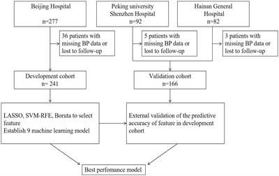 Machine learning models reveal the critical role of nighttime systolic blood pressure in predicting functional outcome for acute ischemic stroke after endovascular thrombectomy